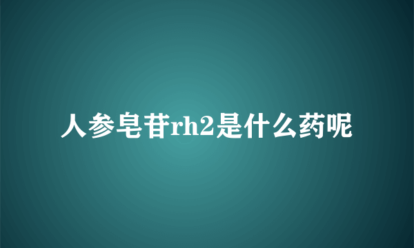 人参皂苷rh2是什么药呢
