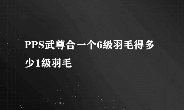 PPS武尊合一个6级羽毛得多少1级羽毛