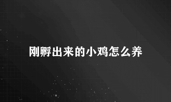 刚孵出来的小鸡怎么养