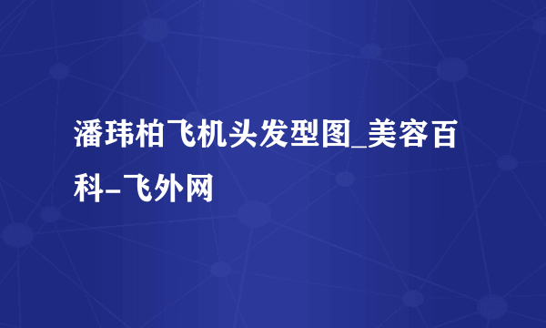 潘玮柏飞机头发型图_美容百科-飞外网