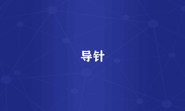 导针