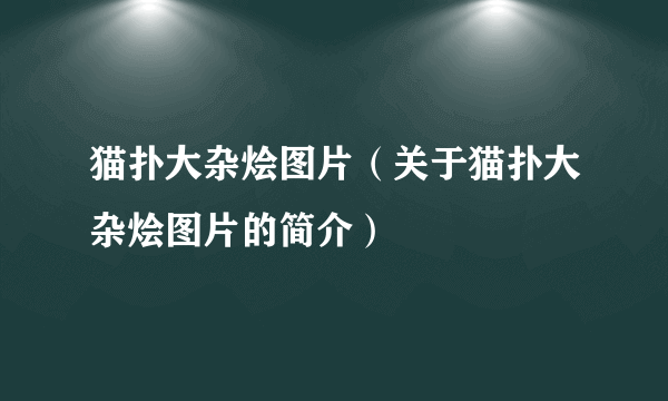 猫扑大杂烩图片（关于猫扑大杂烩图片的简介）