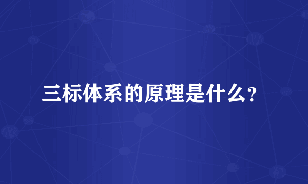 三标体系的原理是什么？