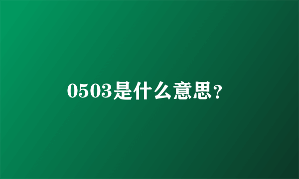 0503是什么意思？