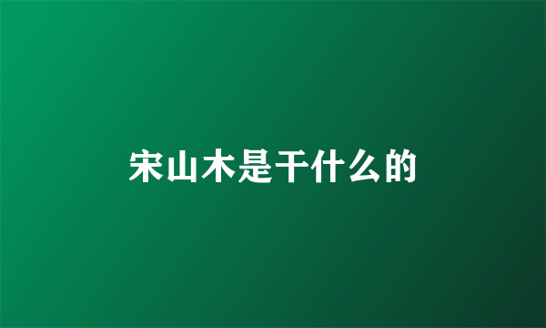 宋山木是干什么的