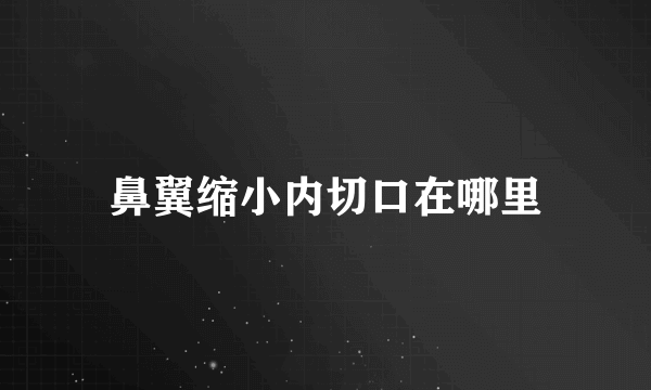 鼻翼缩小内切口在哪里
