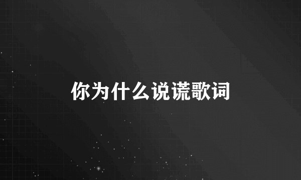 你为什么说谎歌词