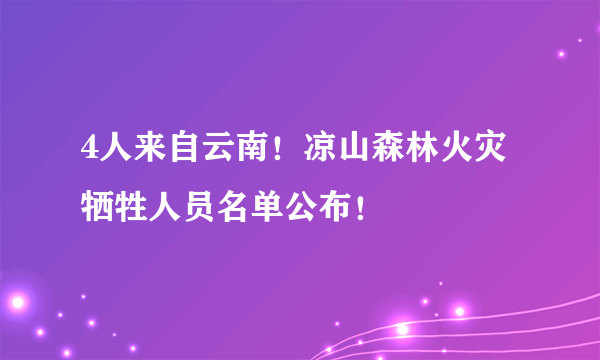 4人来自云南！凉山森林火灾牺牲人员名单公布！