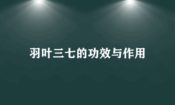 羽叶三七的功效与作用