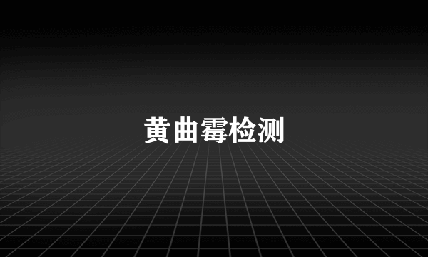黄曲霉检测