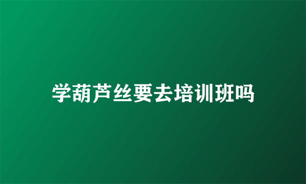 学葫芦丝要去培训班吗