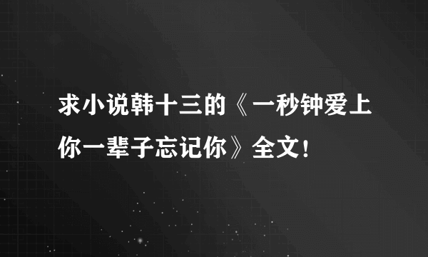 求小说韩十三的《一秒钟爱上你一辈子忘记你》全文！