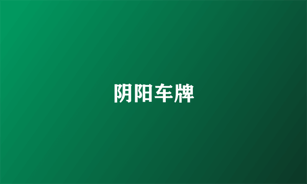 阴阳车牌