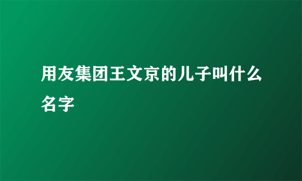 用友集团王文京的儿子叫什么名字