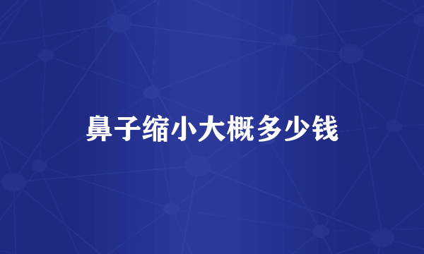 鼻子缩小大概多少钱