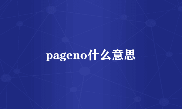 pageno什么意思