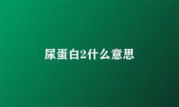 尿蛋白2什么意思