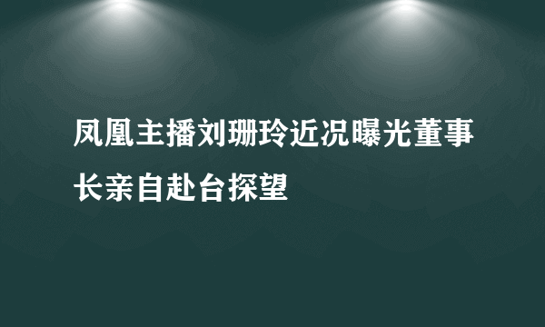 凤凰主播刘珊玲近况曝光董事长亲自赴台探望