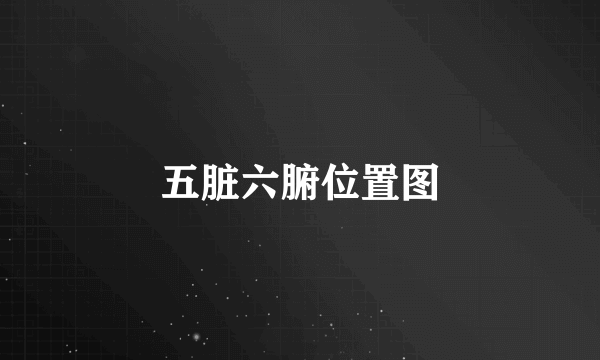 五脏六腑位置图