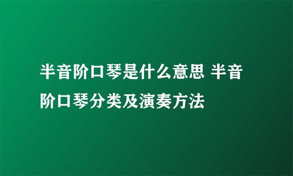 半音阶口琴是什么意思 半音阶口琴分类及演奏方法