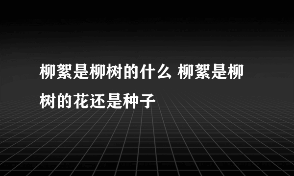 柳絮是柳树的什么 柳絮是柳树的花还是种子