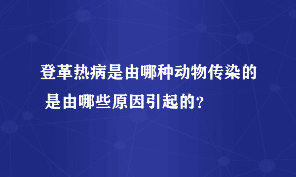 登革热病是由哪种动物传染的 是由哪些原因引起的？