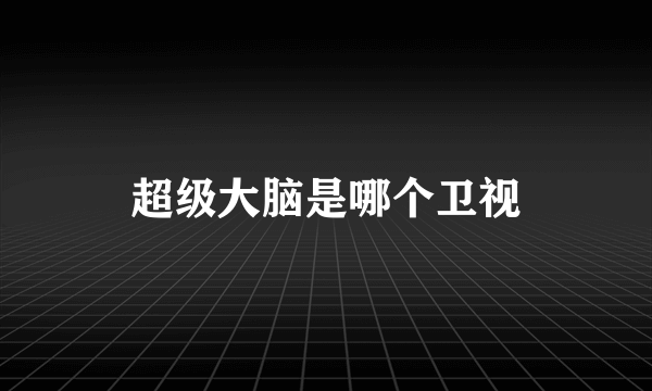 超级大脑是哪个卫视
