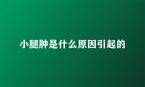 小腿肿是什么原因引起的