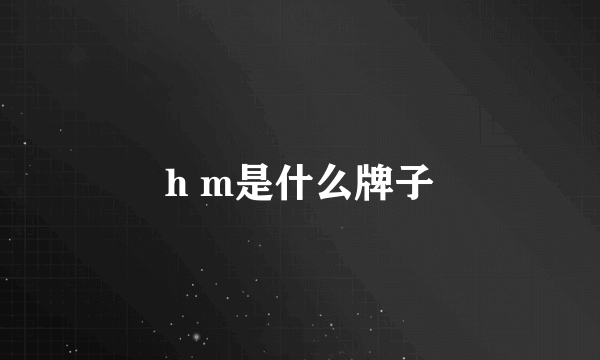 h m是什么牌子