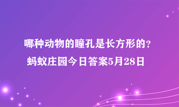哪种动物的瞳孔是长方形的？ 蚂蚁庄园今日答案5月28日