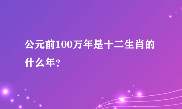 公元前100万年是十二生肖的什么年？