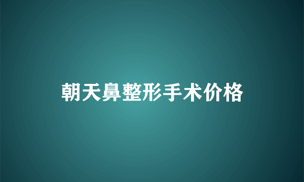 朝天鼻整形手术价格