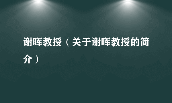 谢晖教授（关于谢晖教授的简介）