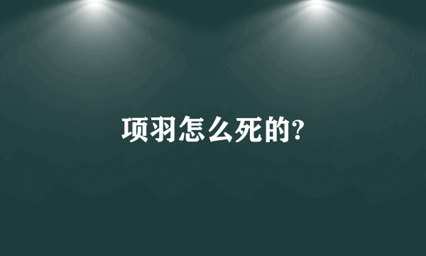 项羽怎么死的?