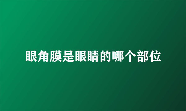 眼角膜是眼睛的哪个部位