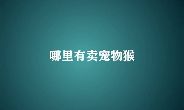 哪里有卖宠物猴