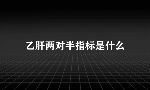 乙肝两对半指标是什么