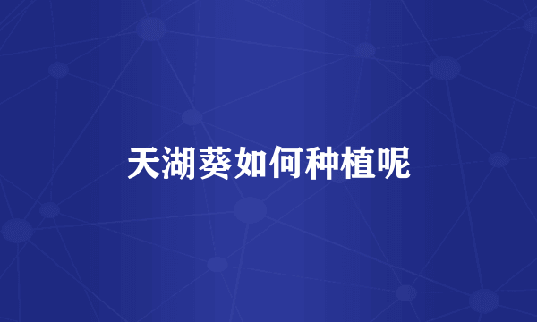 天湖葵如何种植呢
