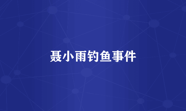 聂小雨钓鱼事件