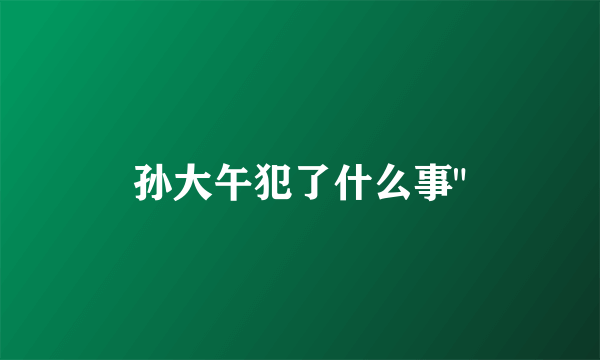 孙大午犯了什么事