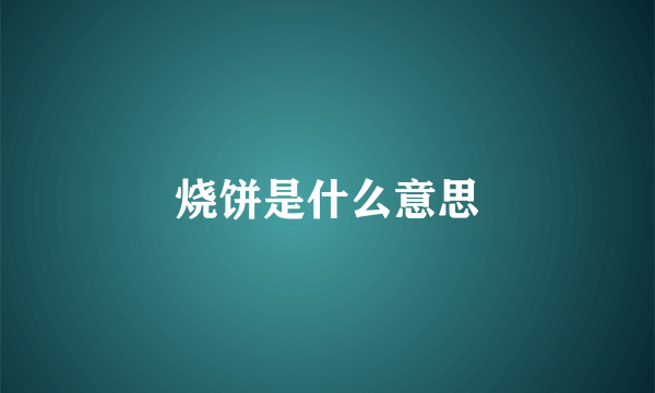 烧饼是什么意思