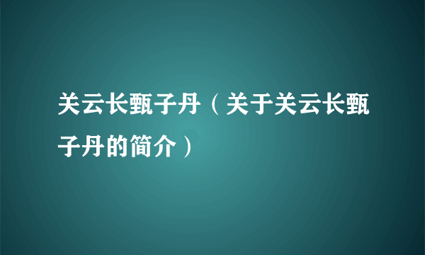 关云长甄子丹（关于关云长甄子丹的简介）