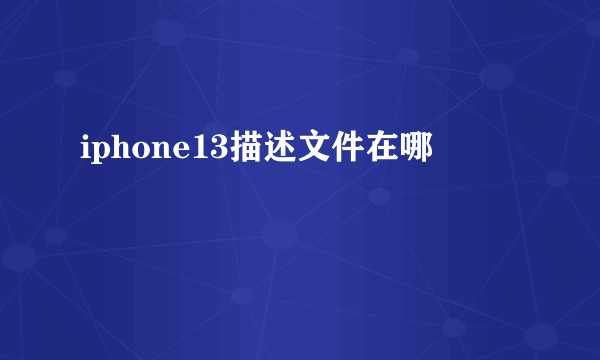 iphone13描述文件在哪