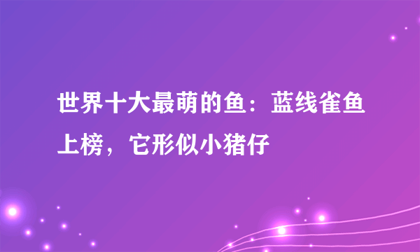 世界十大最萌的鱼：蓝线雀鱼上榜，它形似小猪仔
