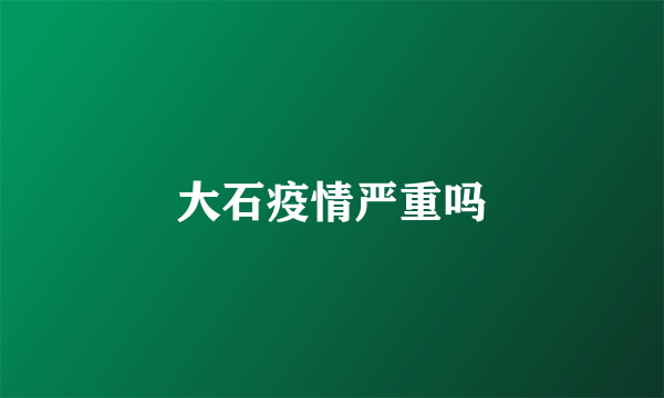 大石疫情严重吗