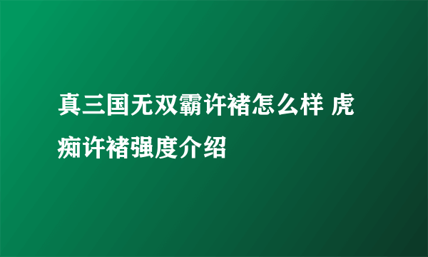 真三国无双霸许褚怎么样 虎痴许褚强度介绍