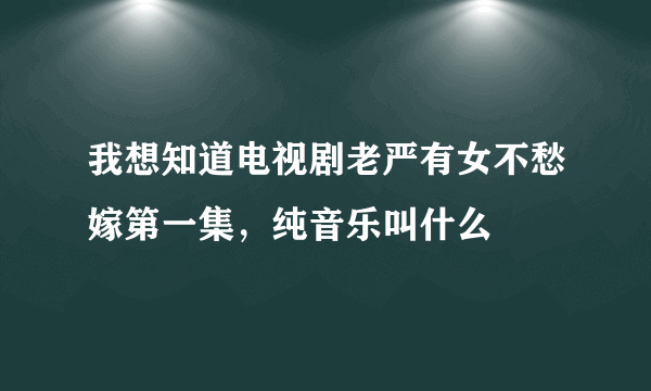 我想知道电视剧老严有女不愁嫁第一集，纯音乐叫什么