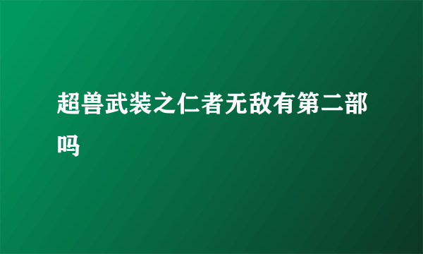 超兽武装之仁者无敌有第二部吗