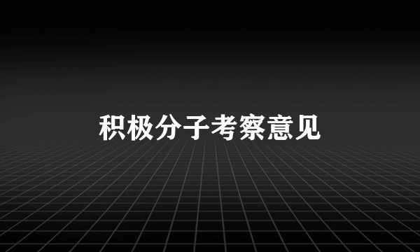 积极分子考察意见