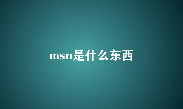 msn是什么东西